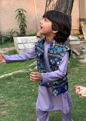 Purplish Waiscoat