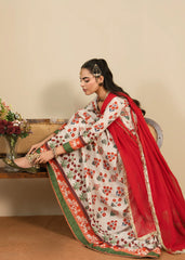 Vintage Frock