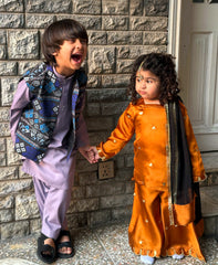 Purplish Waiscoat