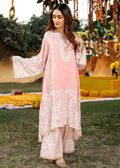 Pink Chiffon Suit