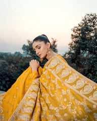 Mustard Saree