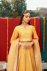 Mustard Lehnga Choli